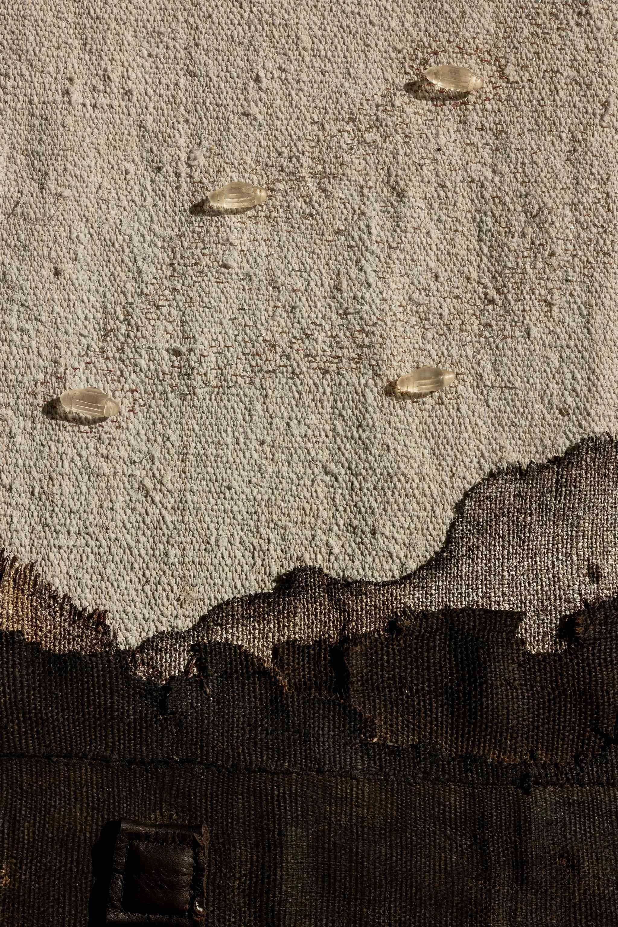 Close detail of gold leaf moving across the charred terrain.